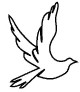 Faith & Organizations Project bird