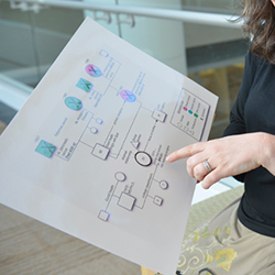 Program Structure