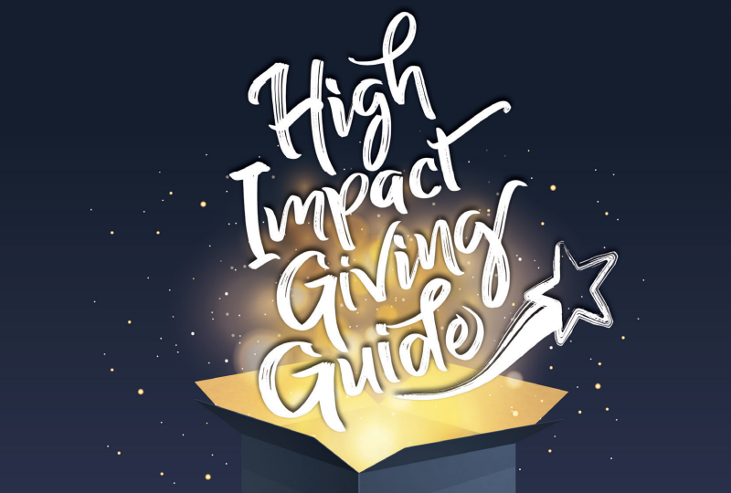 Cover image of 2019 High Impact Giving Guide