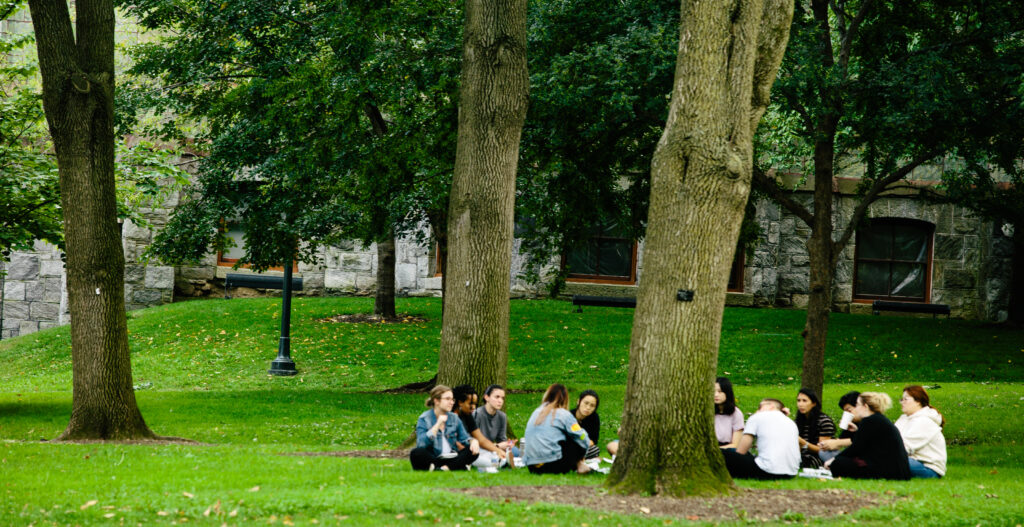 Students sitting on grass on campus